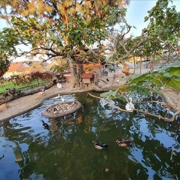 Apartman Normanci Near Bizovac Thermal Spa Exterior foto